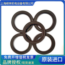 M CFW/Simrit Ǽͷ BASL 10*22*8 ̙C늙Cͷ