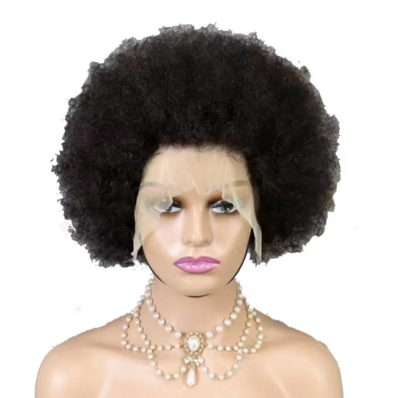 Small Curly Afro Wig Human Hair Lace Front Wig