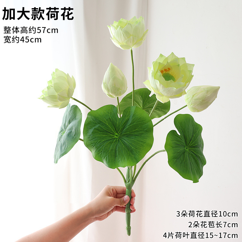 연꽃 녹색 꽃다발