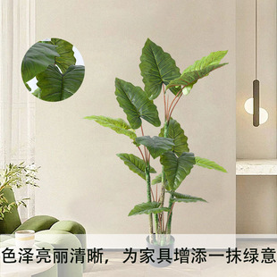 ���ͷ����Gֲ��� �҃ȸ߶��������ֲ��ʺ������������٘�