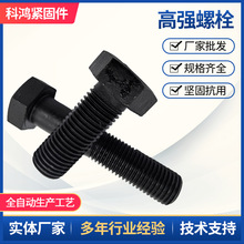 ߏ˨8.8ݽzP䓽YȫLݼy^˨