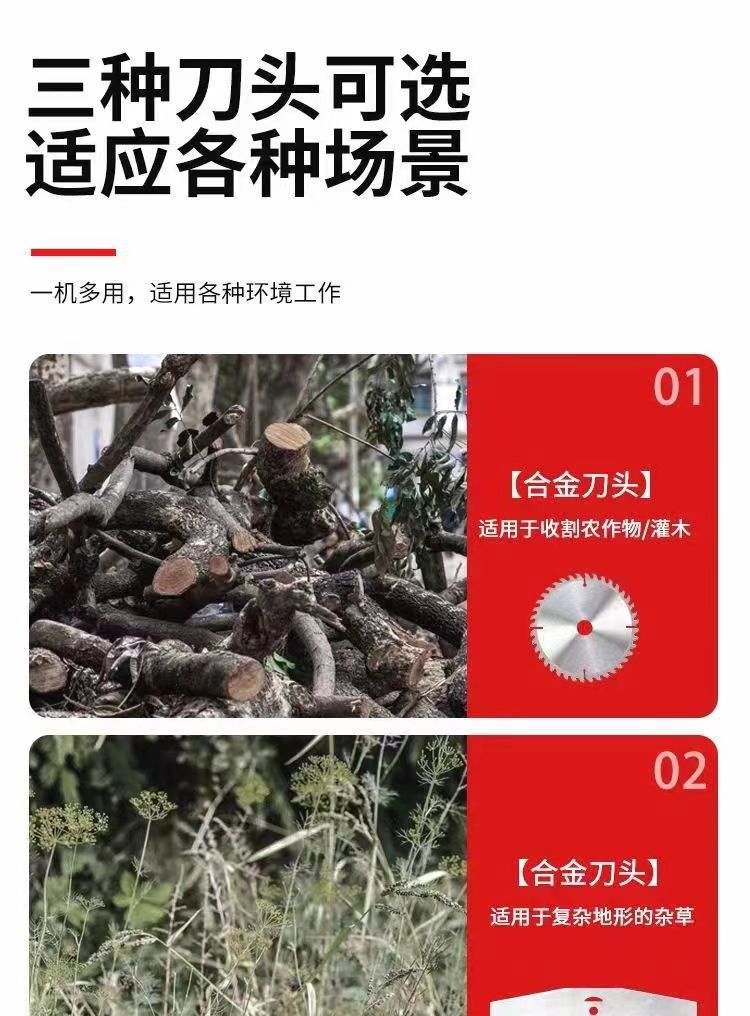 微信圖片_20240520231008