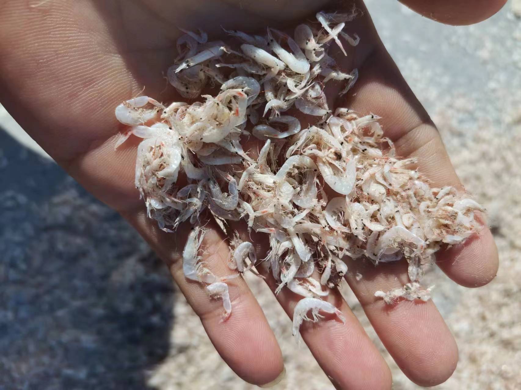 微信图片_20230209202801