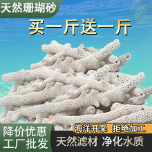 鱼缸过滤材料天然珊瑚骨底砂净化珊瑚石造景滤材锦鲤鱼池珊瑚砂1