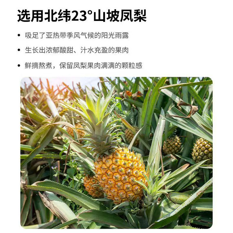 凤梨酥手艺早餐铁盒台湾零食礼物伴手礼盒子代餐心师傅装糕点|undefined