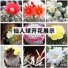 ����ֲ��������С��������ָ�����k������[���҃������ƽM������