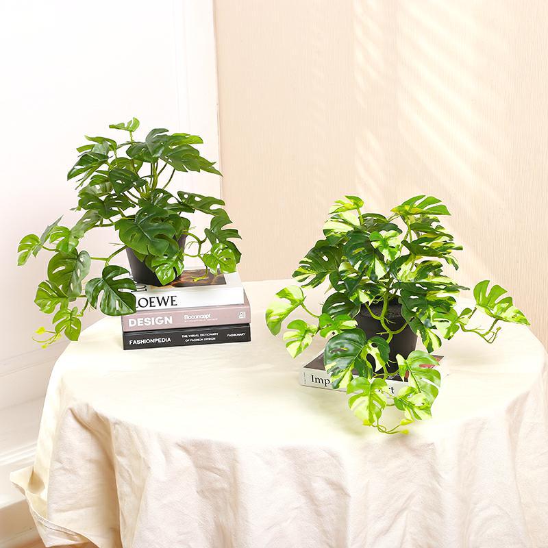 IMG_1318_好压看图