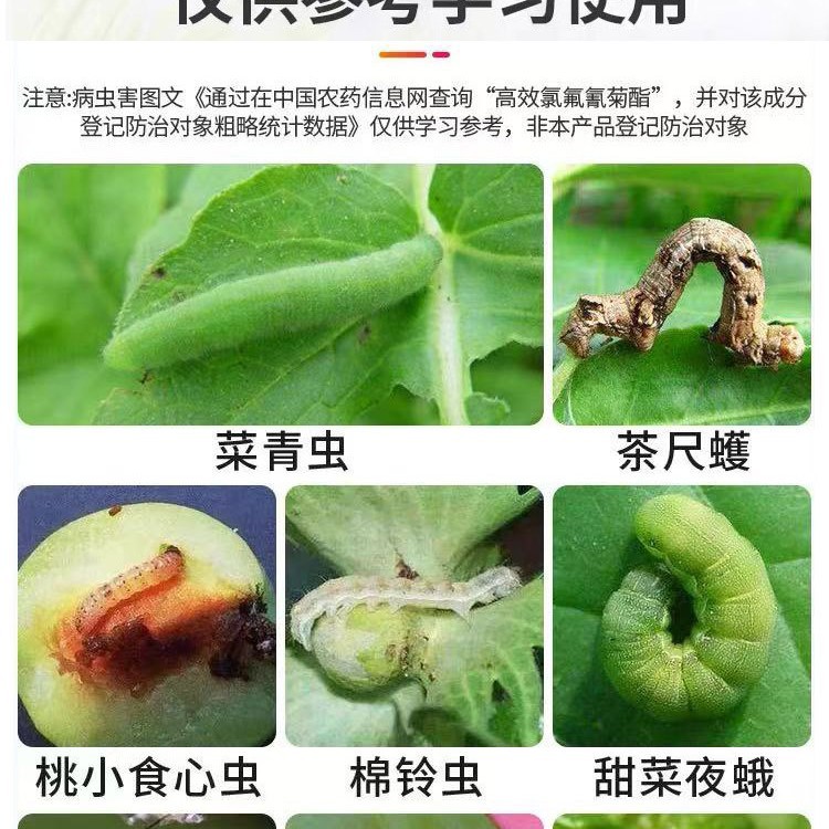 Caixa inteira Inseticida Cialotrina de Alto Desempenho Controle Vegetal Árvore de Frutas Aphid Inseto Vegetal Praga Inseticida 3