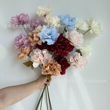 �¿���滨��z�ʺ� 3�^ĵ�� ��c��Y�ñ���ܛ�b�b� ·���廨