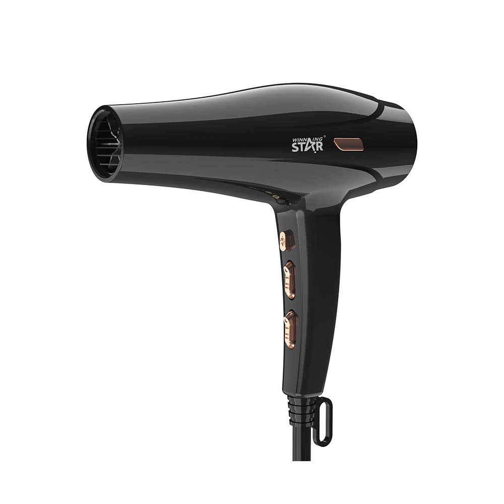 Winning Star comercio exterior hogar frío y caliente velocidad del viento seco de alta potencia anti-secado secador de pelo Hair Dryer