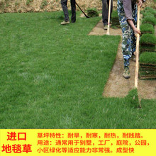 һ�����l��̺�ݲ�ƺ�����ļ������ͺ��ͺ�����ͥԺ�G���o�²�����