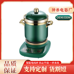 Fully Automatic Multifunctional Household Ceramic Split Water-Proof Stew Electric Stew Cup Mini Health Cup Electric Stew Pot Bird's Nest Porridge