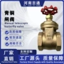 耐腐蚀氧化耐磨高温闸阀