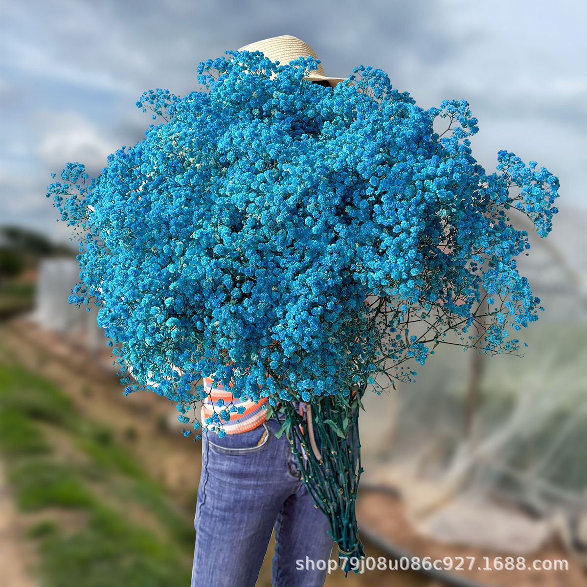 블루(하늘색)(450g)±30g