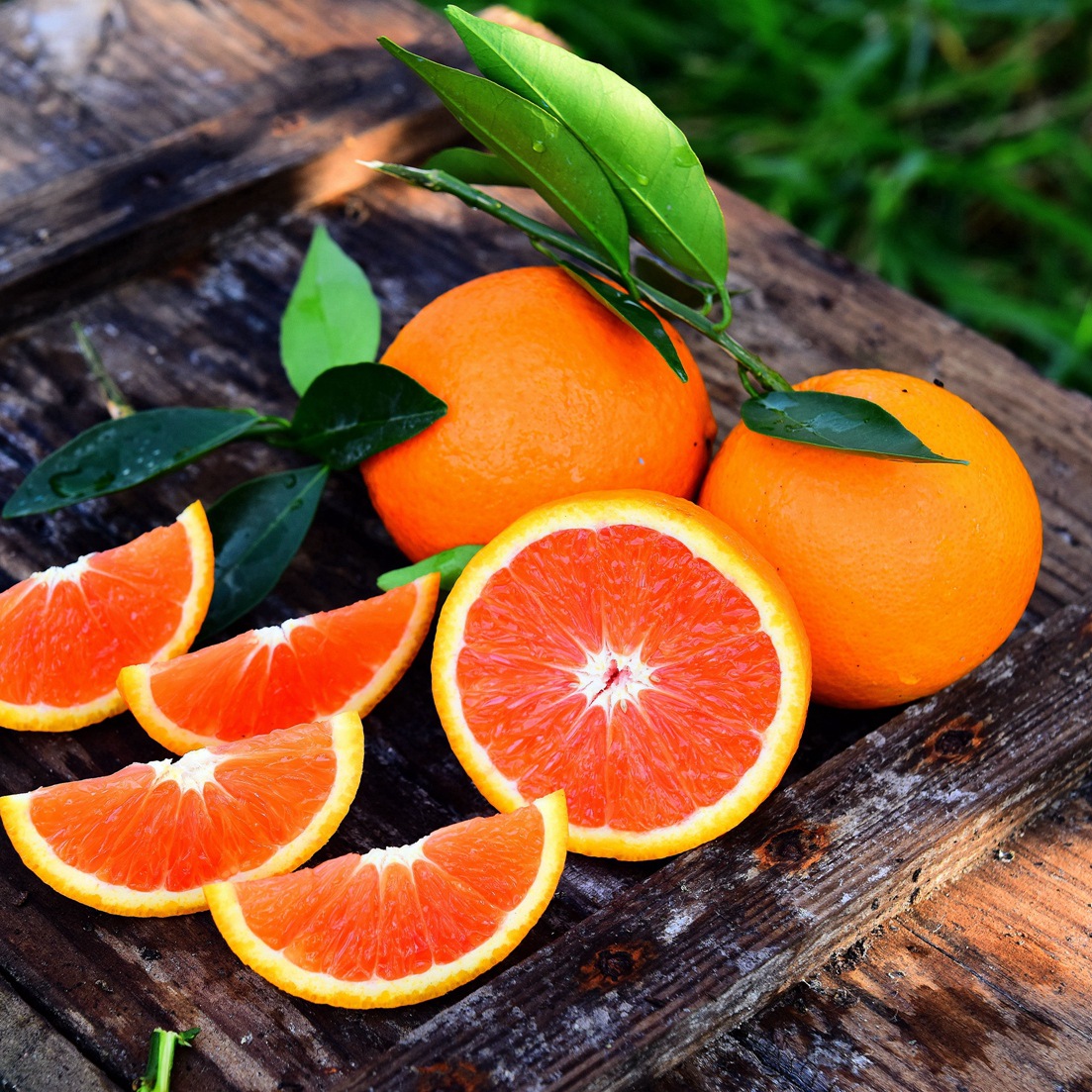 【家和果园】湖北宜昌秭归脐橙红肉中华红血橙十斤顺丰快递|ms