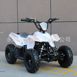 沙滩车;其他摩托车;其他电动车