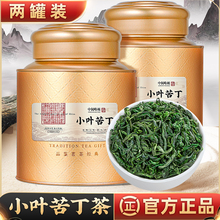 中闽峰州 小叶苦丁茶 茶叶2024新茶正品高山头采嫩芽花草茶500g