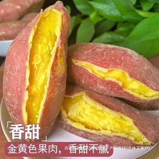 ��95%���u�ʡ����r�����t���F���r���S�İ���������Ŵɽ�������u