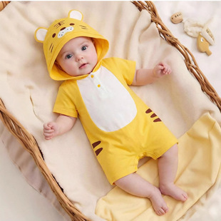 �����ļ��ϻ����Ͷ����B�w�� �������m͸�� �m���ճ�����ɐ۴���