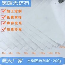 源头厂家120g水刺无纺布卷材白色柔软无纺布平纹涤纶耐磨现货秒发