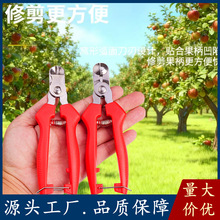 �O���C�͹��Ѽ��C�Ӽ�����������ժ����Ě�ȹ�������������֦����
