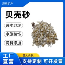 现货天然贝壳砂 小颗粒水晶装饰摆件 鱼缸家居装饰碎石用贝壳石
