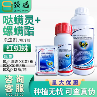 �˄ٳ�����40%�}�\�`&middot;���\�����٘�t֩�뚢�\�x�rș���x�����l