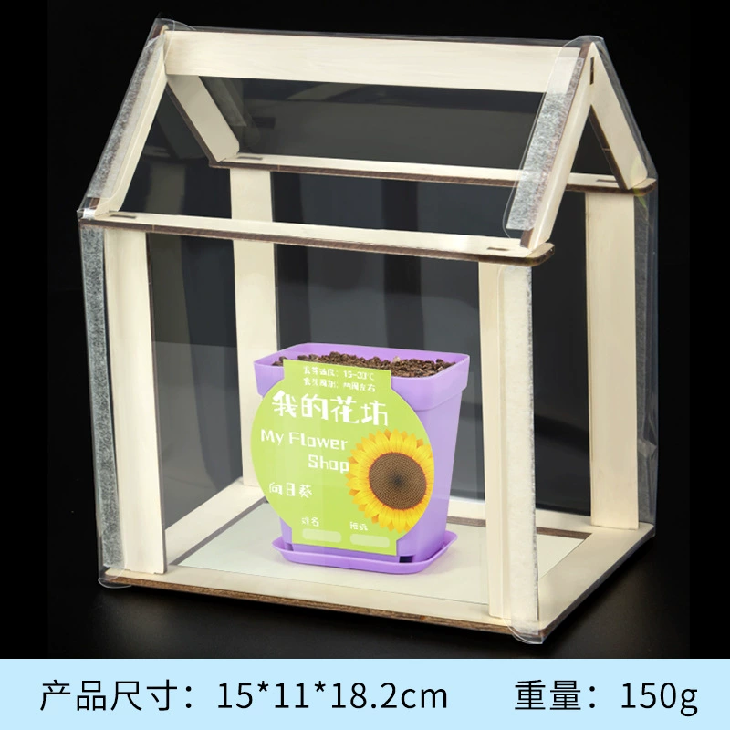 Materials set for experiments for kindergarten, DIY, science, generating electricity, mini experiment, Birthday gift