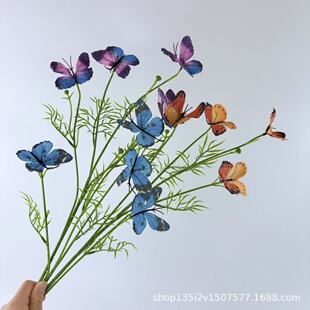 �����������֦4�^�����̈�������ꐷ��滨��̨·�����üٻ��廨