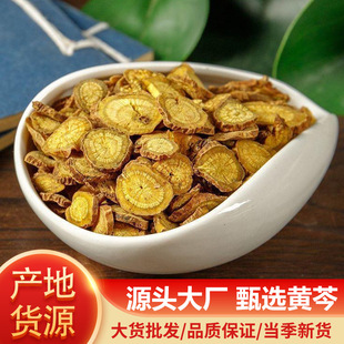 �S����ș�Ŀ����S���S���S��Ƭ��؛���l500��