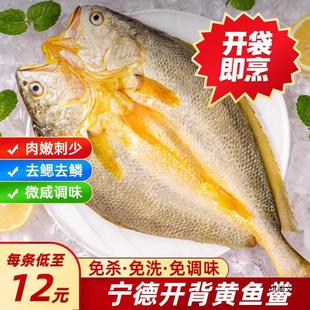 �_���S�~��400g���®a�S���~���r����⚢���ƴ��S�~���Ʒ����