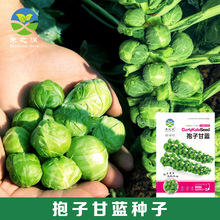 Ӹ{NӾĲ˷NС{߲˷NӴȫļ˷NӏSl