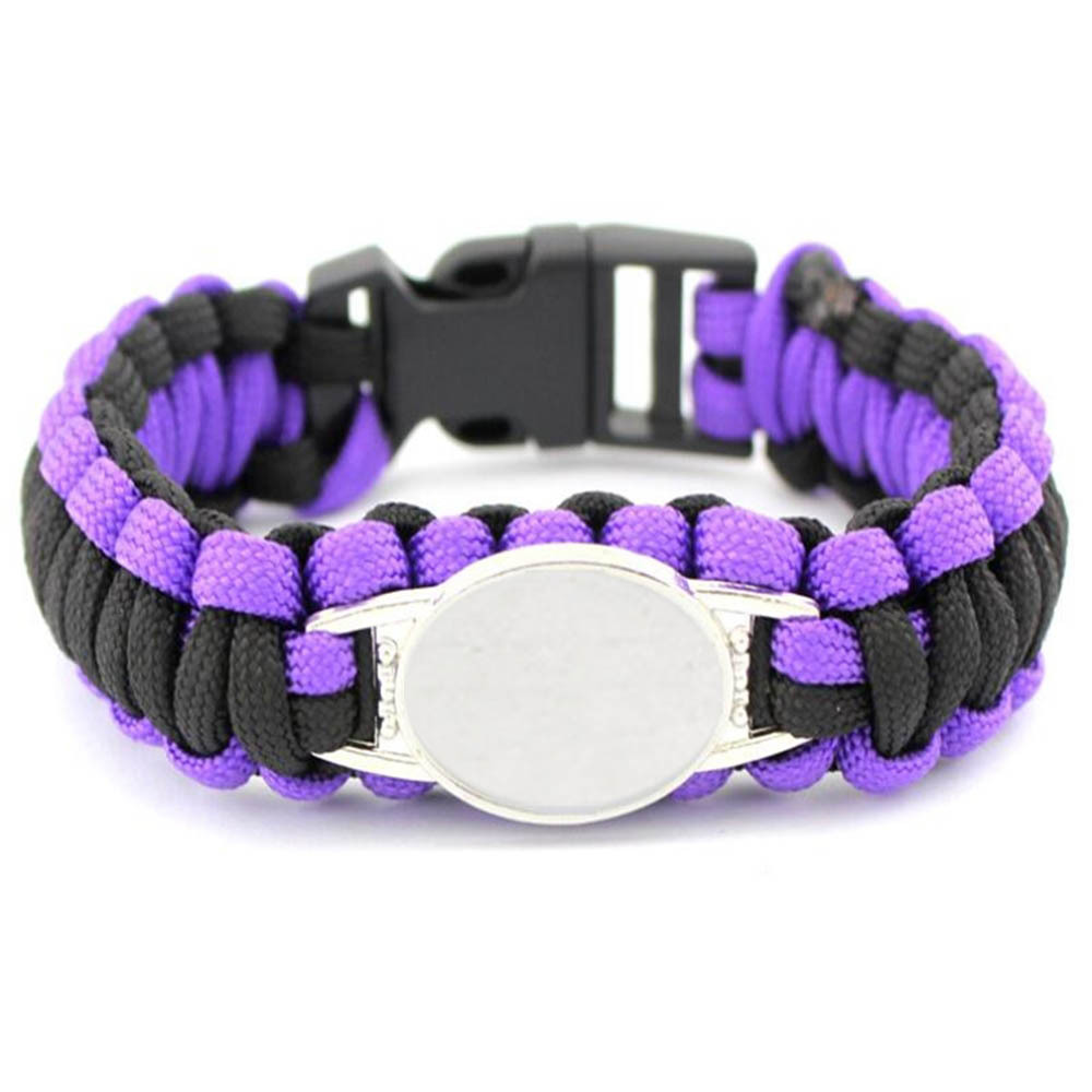 볼티모어 레이븐스