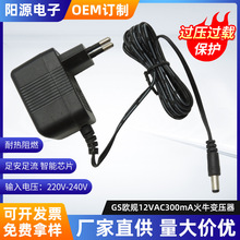 GS欧规12VAC300mA火牛变压器交流线性开关电源适配器卧式变压火牛