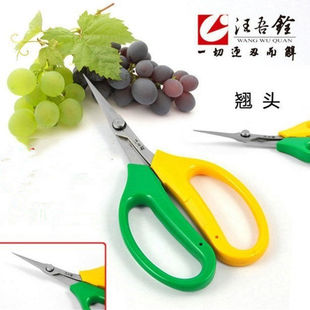 genuine goods Wang Wuquan 2108 cocked grape scissors household stainless steel fruit scissors elbow vegetable scissors garden gardening