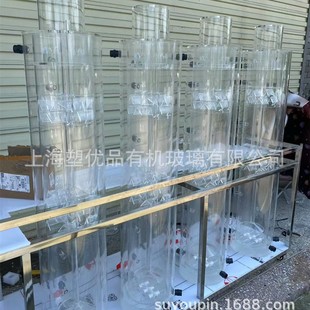 Transparent plexiglass IC/EGSB anaerobic device acrylic biological aerated filter IC anaerobic tank 1-50L