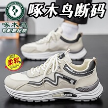 ��ľ�B��a���N���e�\��Ь��Ь2026�ļ����m͸�����e�ٴ��ϵ�Ь��