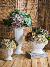 ʽ͹Ű״ɻ軨ƿ廨@ͥԺeմ²b[