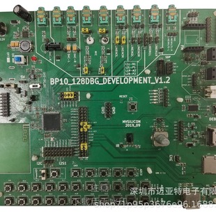 Shanjing Mvsilicon Bp10 Series Development Board