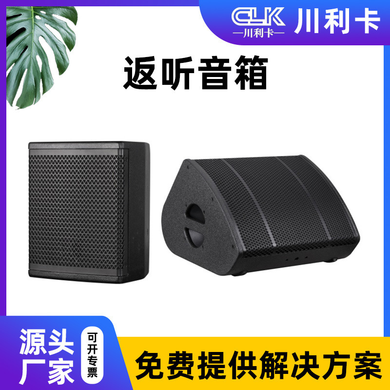 Professional Audio Stage Lecture Hall Conference Room Professional Speaker Broadcast System Professional Backward Outdoor Speaker