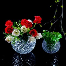 水培植物玻璃瓶桌面客厅吊兰花盆创意个性透明铜钱草水养室内花瓶