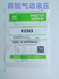 PRETTY GOYEN K2503 M1887 脉冲阀膜片维修包CA25DD CA25FS膜片