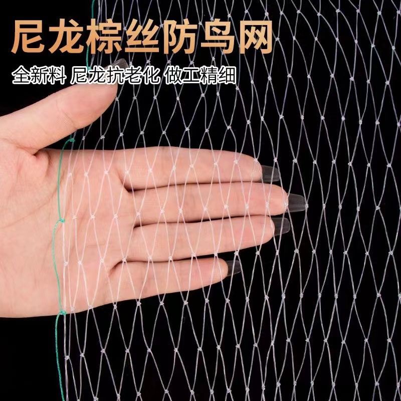 樱桃果树防鸟网嘉宝果树防鸟果园防鸟用网水果树庭院防鸟罩