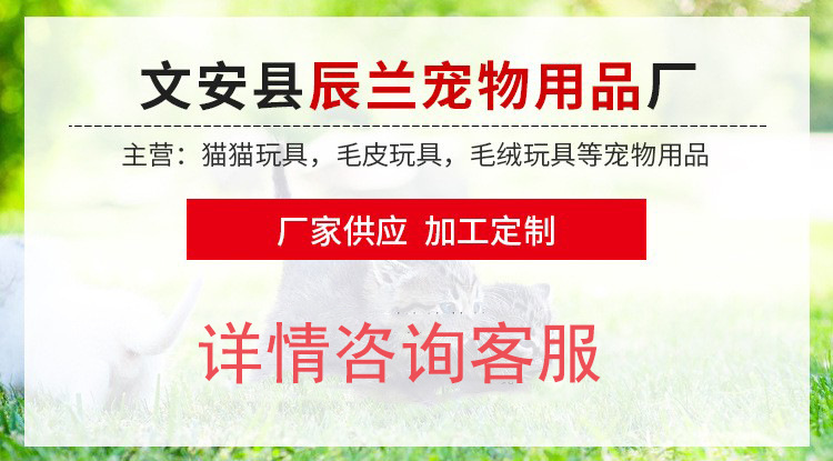 辰兰通用改.jpg