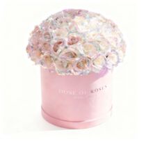 ��õ�廨Ģ���^����Ͱ��Ϧ�Y�����˹��Y�п羳�r���̄�ٛ�Y