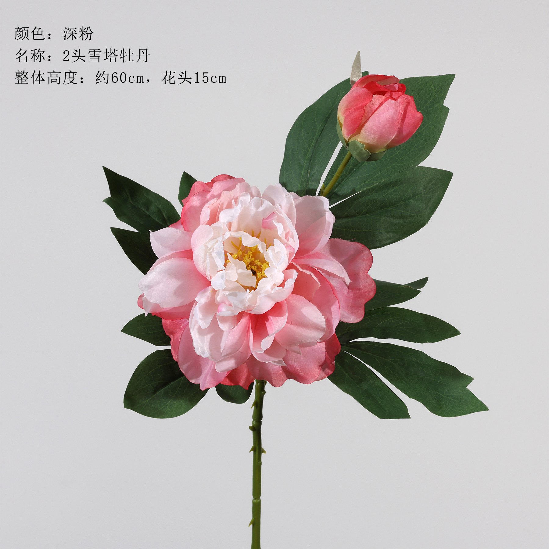 스노우 타워 모란 2개 - 다크 핑크