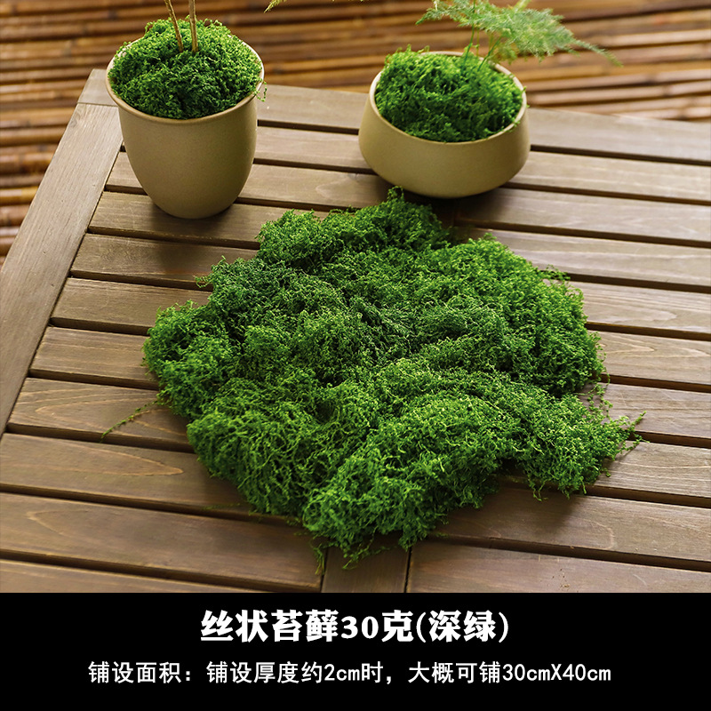 Simulación de musgo artificial de fibra de tela de peluche Micropisaje Disposición ornamental Césped bonsai maceta decoración paisajística