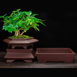 宜兴紫砂花盆个性陶瓷长方盆马槽盆阳台客厅花卉绿植树桩盆景批发