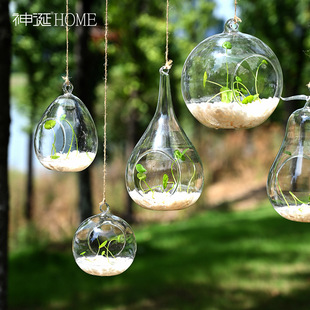 Nordic modern creative hanging transparent hydroponic glass vase micro landscape room kindergarten hanging glass bottle