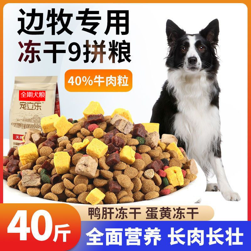 Border Collie Special Dog Food 5kg 10kg 20kg 20kg Border Collie Adult Dog Puppy Medium-Sized Beautiful Hair Free Shipping Border Collie Special Dog Food 5kg 10kg 20kg 20kg Border Collie Adult Dog Puppy Medium-Sized Beautiful Hair Free Shipping